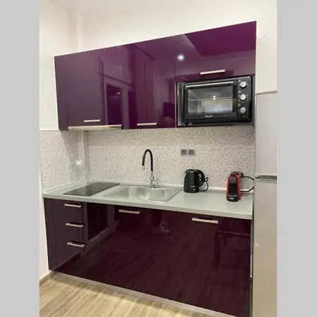 Comfort And Seaview Nea Paralia Lägenhet *